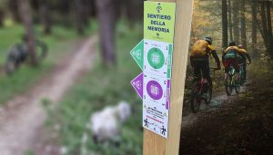 Ascoli Trail Area