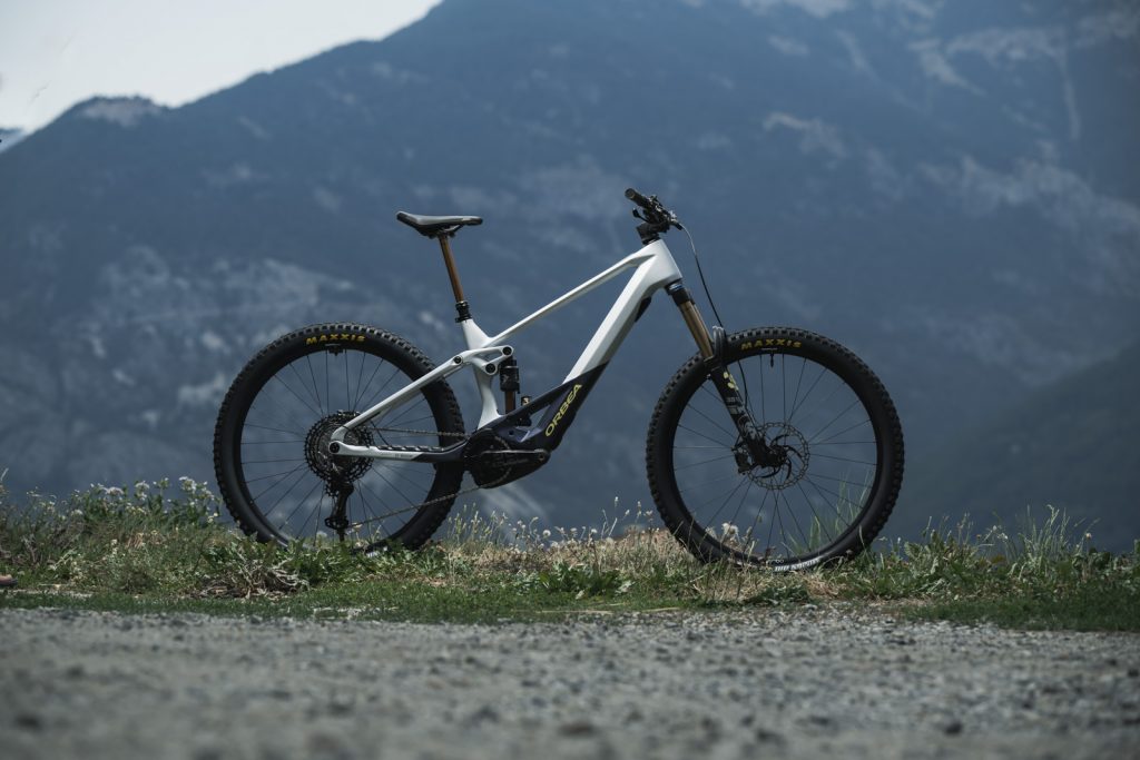 Orbea Wild
