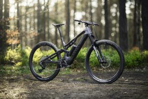 Canyon Neuron OnFly