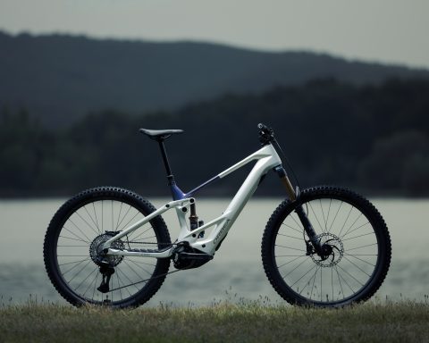 Orbea Wild TR